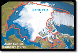 
PROOF OF GLOBAL WARMING? A NASA satellite image shows that since 1979, more than 20 percent of the polar ice cap has melted away, at a rate of 9 percent a decade. At this shrinkage rate, summers in the Arctic could become ice-free by 2099.
